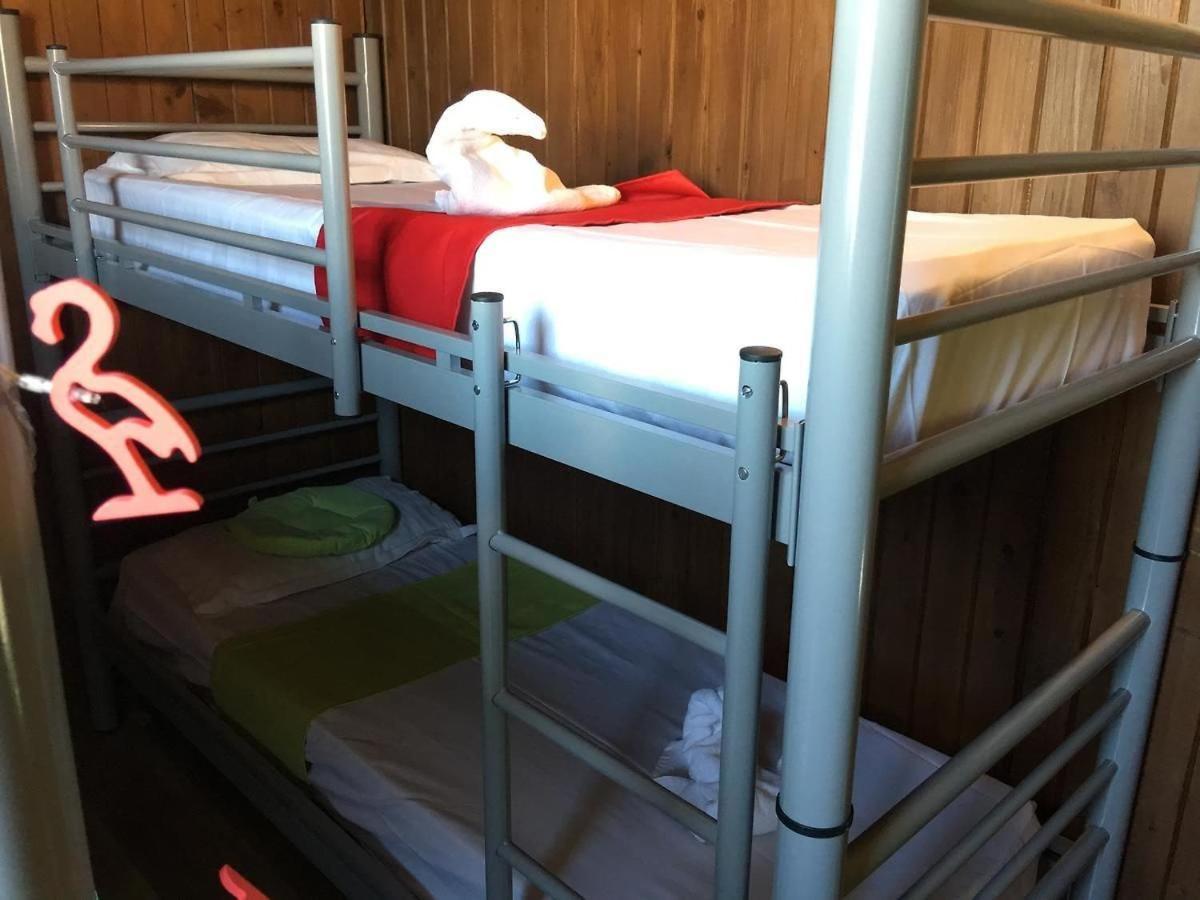 Hostel Flamingo קוסטינסטי מראה חיצוני תמונה